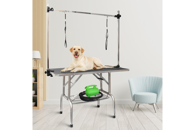 Best dog grooming table for at home sales use